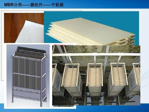 真实图片1.jpg