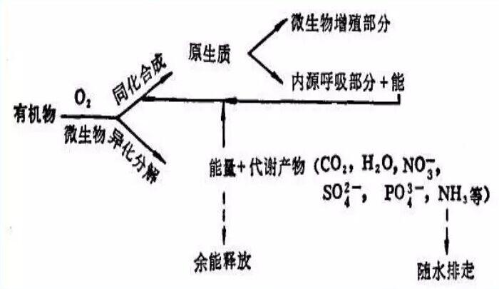 QQ图片20180724165201.jpg